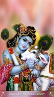 Krishna Mobile Wallpapers_2064