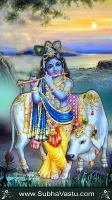 Krishna Mobile Wallpapers_2167