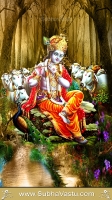 Krishna Mobile Wallpapers_2209