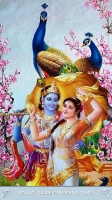 Krishna Mobile Wallpapers_2423