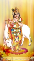 Krishna Mobile Wallpapers_485
