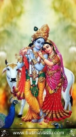 Krishna Mobile Wallpapers_605