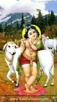 Krishna Mobile Wallpapers_689