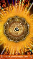 Om Mobile Wallpapers_312