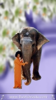 SaiBaba Mobile Wallpapers_119