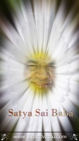 SaiBaba Mobile Wallpapers_192