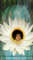 SaiBaba Mobile Wallpapers_286