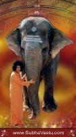 SaiBaba Mobile Wallpapers_526