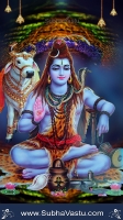Lord Siva Mobile Wallpapers_1285