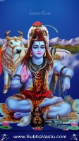 Shiva Mobile Wallpapers_1087