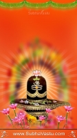 Siva Mobile Wallpaper_250