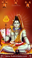 Siva Mobile Wallpaper_295