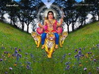 1024X768-AyyappaDesktopWallpapers_41