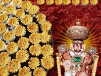 1024X768-Balaji_104