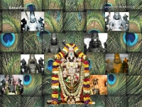 1024X768-Balaji_109