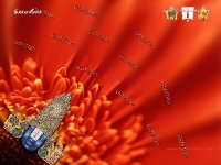 Balaji1024X768_516