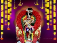 Balaji1024X768_564