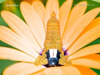 Balaji1024X768_96