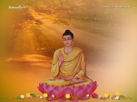 Buddha-1024X768_119