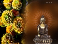 Buddha-1024X768_29
