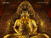 Buddha-1024X768_47