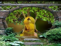 Buddha-1024X768_90