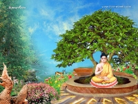 Buddha-1024X768_92