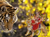 Durga-1024X768_287