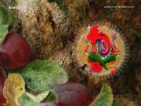 1024X768-Ganesha_1438