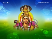 Gayathri-1024X768_28