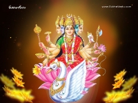 Gayathri-1024X768_42