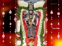 3200X2400 Wallpapers_149