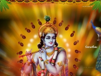 3200X2400 Wallpapers_159