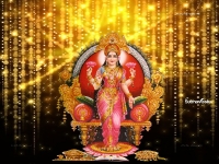 3200X2400 Wallpapers_255