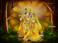 3200X2400 Wallpapers_256