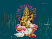 3200X2400 Wallpapers_275