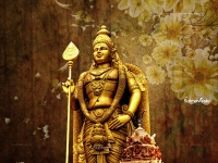 3200X2400 Wallpapers_340