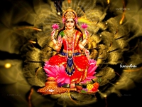 3200X2400 Wallpapers_345