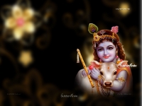 3200X2400 Wallpapers_353