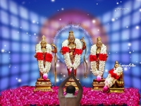 3200X2400 Wallpapers_357