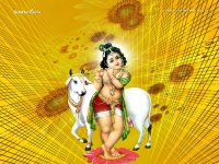 1024X768-Krishna Wallpapers_1008