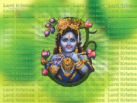 1024X768-Krishna Wallpapers_1014