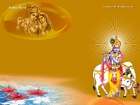 1024X768-Krishna Wallpapers_1064