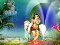 1024X768-Krishna Wallpapers_1081
