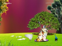 1024X768-Krishna Wallpapers_1124
