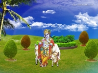 1024X768-Krishna Wallpapers_1132