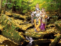 1024X768-Krishna Wallpapers_1168