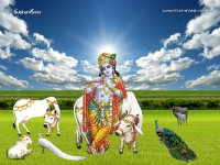 1024X768-Krishna Wallpapers_1185