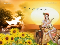 1024X768-Krishna Wallpapers_1189