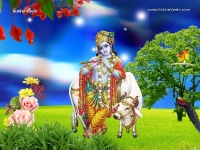 1024X768-Krishna Wallpapers_1200